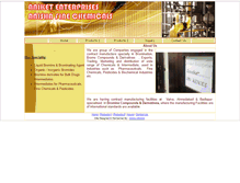 Tablet Screenshot of aniketenterprises.com